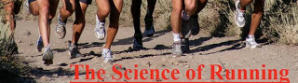 Science Based Examination of Running Shoes – Great Post by Steve Magness from The Science of Running