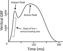 Study: Impact Loading Rate in Running Reduced by Adopting a Midfoot Strike