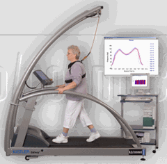 hp cosmos treadmill